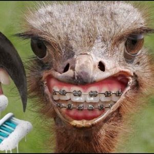 Meet your Posher, Antrell